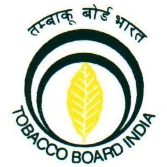 Untitled design (82)